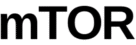 mTOR